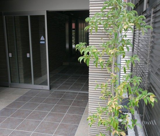THE デザイナーズマンション