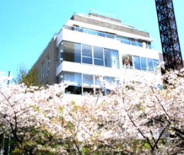 Blossom Terrace
