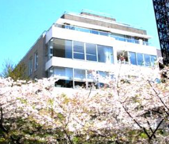 Blossom Terrace