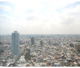 セントラルパークタワー・ラ・トゥール新宿