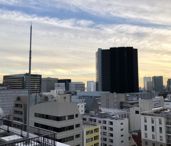 ラフィーヌ銀座