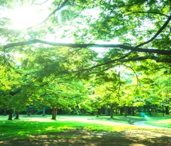 Brillia Tower代々木公園CLASSY