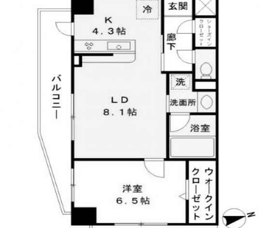 MODIER YOYOGI